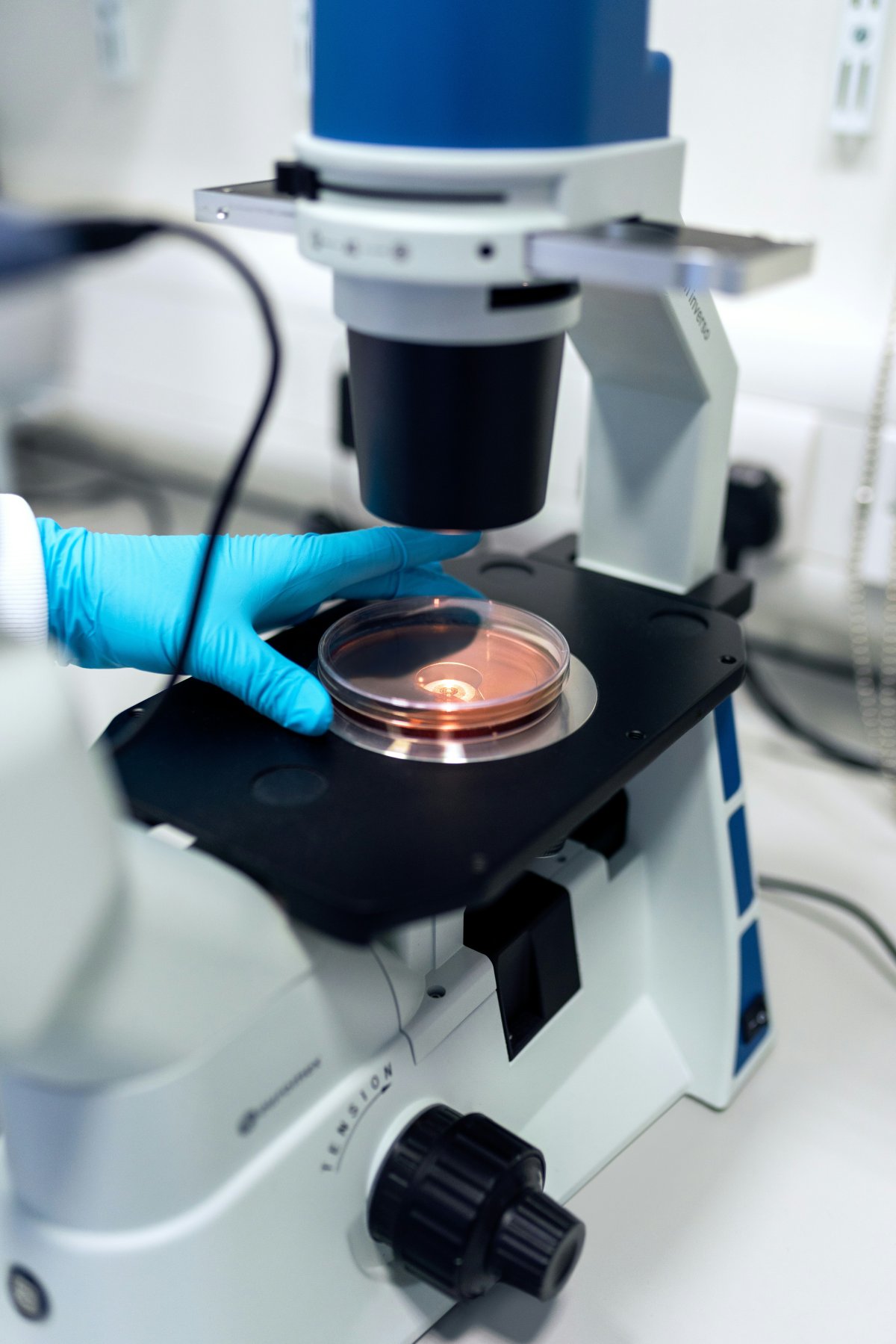 Escalade Difficultés des biotectech